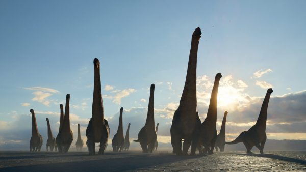 Новый телесериал о динозаврах «Доисторическая Планета»